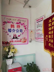 西昌市鵲橋婚介服務(wù)所 連接良緣，熱賣促銷中